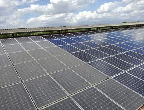 Problemi di sporcizia dei pannelli di un impianto fotovoltaico da 100 kW